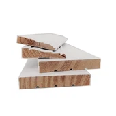 Papan basikal pain pepejal